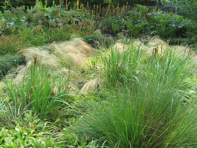 Jardins de Maizicourt